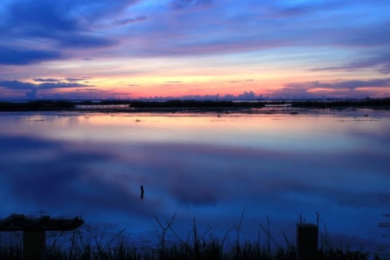 Thale Noi Waterfowl Reserve, ทะเลน้อย